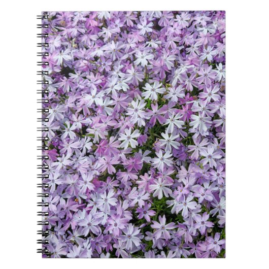Paarse Phlox-tuin Notitieboek (Voorkant)