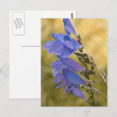 Paarse Pinkstemon - Gemengde Media Tekening Briefkaart (Voorkant / Achterkant)