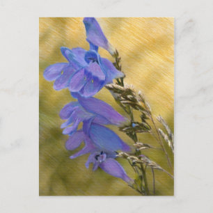 Paarse Pinkstemon - Gemengde Media Tekening Briefkaart