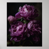 Paarse pioenbloemen Art Print Poster (Voorkant)