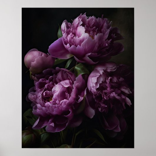 Paarse pioenbloemen Art Print Poster (Voorkant)