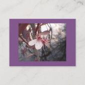 Paarse Plum Bloom Visitekaartje (Voorkant)