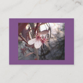 Paarse Plum Bloom Visitekaartje