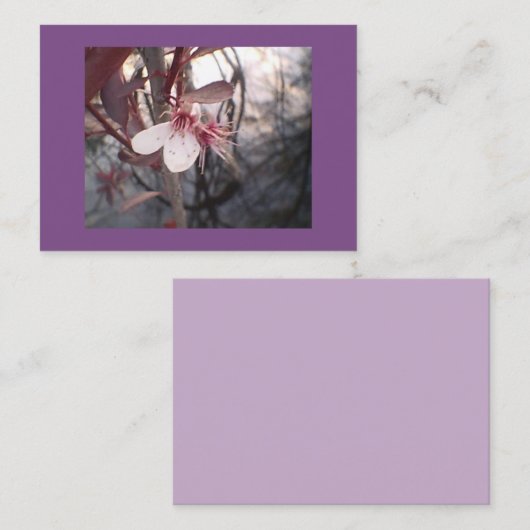 Paarse Plum Bloom Visitekaartje (Voorkant / Achterkant)