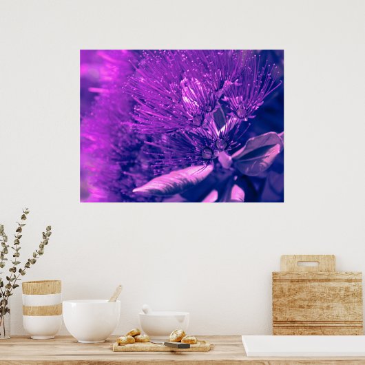 Paarse Pohutukawa Tree Poster (Keuken)