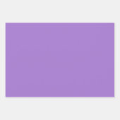 Paarse pompoen zwart Halloween cadeau wrap papier Inpakpapier Vel (Voorkant)