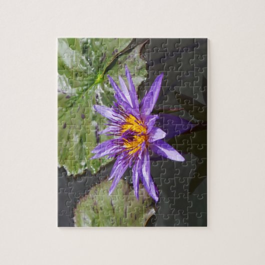 Paarse Pond Lily Puzzle Legpuzzel (Verticaal)