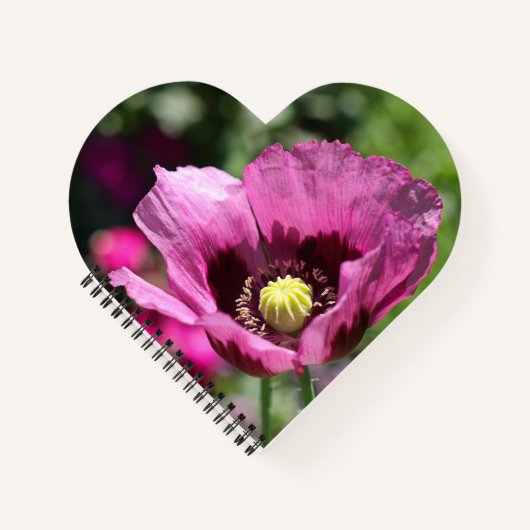 Paarse Poppy Spiral Notitieboek (Voorkant)