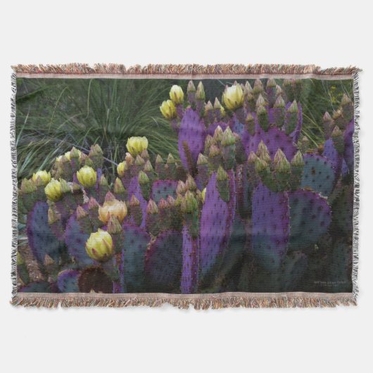 Paarse Prickly Pear Opuntia Cactus Yellow Flowers Deken (Voorkant)