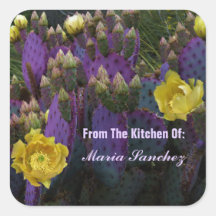 Paarse Prickly Pear Opuntia Cactus Yellow Flowers