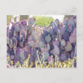 Paarse Prickly Pears | BRIEFKAART (Voorkant)