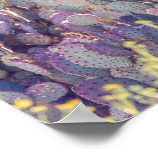 Paarse Prickly Pears | POSTER (Hoek)