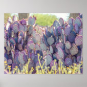Paarse Prickly Pears | POSTER (Voorkant)