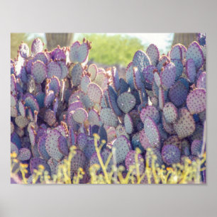 Paarse Prickly Pears   Poster