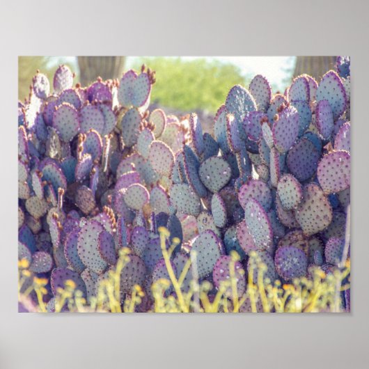 Paarse Prickly Pears | POSTER (Voorkant)