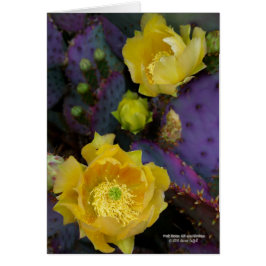 Paarse prikmoes, geelbloemen