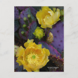 Paarse prikmoes, geelbloemen briefkaart