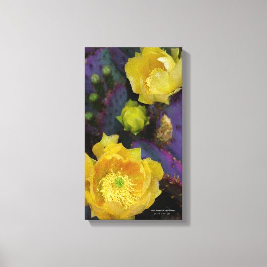 Paarse prikmoes, geelbloemen canvas afdruk (Voorkant)