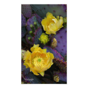 Paarse prikmoes, geelbloemen foto afdruk