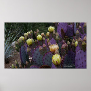 Paarse prikmoes, geelbloemen poster