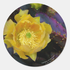 Paarse prikmoes, geelbloemen ronde sticker