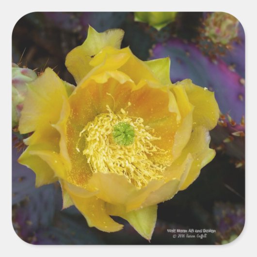 Paarse prikmoes, geelbloemen vierkante sticker (Voorkant)