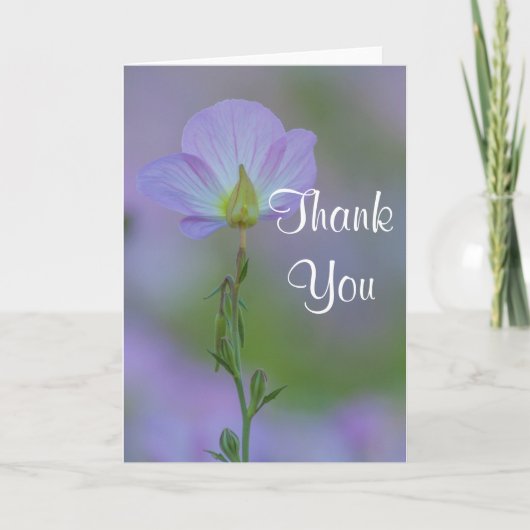 Paarse Primrose Bedankt (Voorkant)