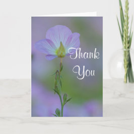 Paarse Primrose Bedankt