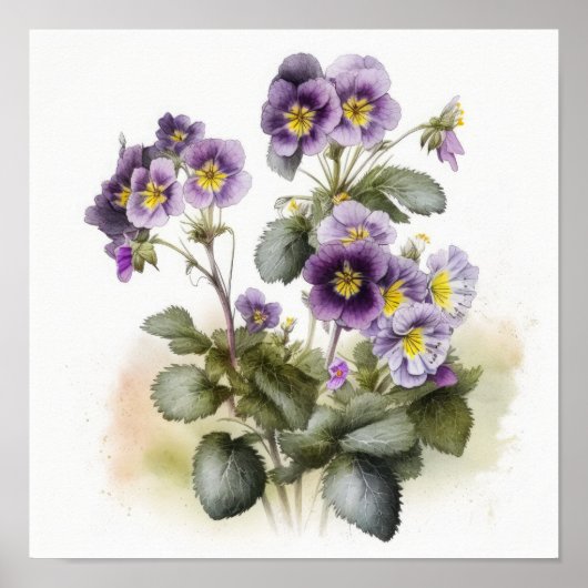 Paarse Primrose Flower Art Print Poster (Voorkant)