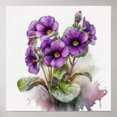 Paarse Primrose Flowers Art Print Poster (Voorkant)