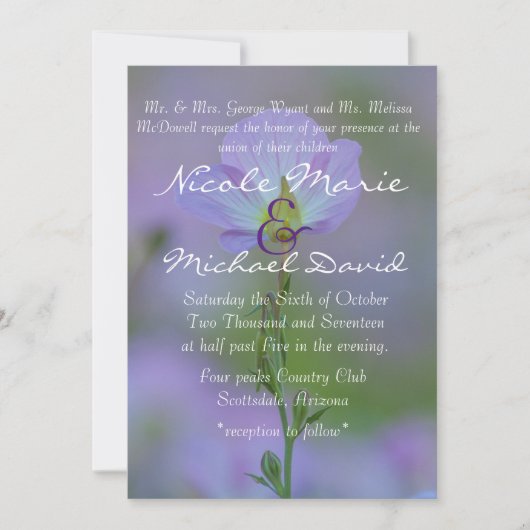 Paarse primrose kaart (Voorkant)