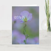 Paarse primrose RSVP (Voorkant)