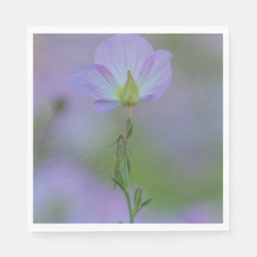 Paarse primrose servet (Voorkant)