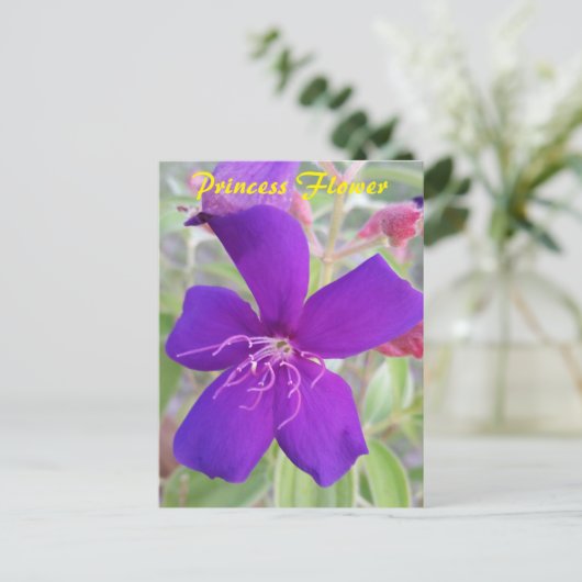 Paarse Princess Flower - slak mail briefkaart (Staand voorkant)