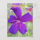 Paarse Princess Flower - slak mail briefkaart (Voorkant)