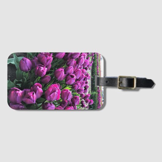 Paarse Prins Tulips Bagagelabel (Voorkant (horizontaal))