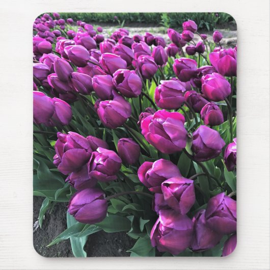 Paarse Prins Tulips Muismat (Voorkant)