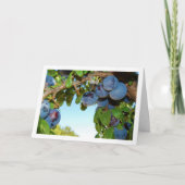 Paarse pruimen, blauw hemelportret kaart (Voorkant)
