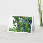 Paarse pruimen op boom kaart (Voorkant)