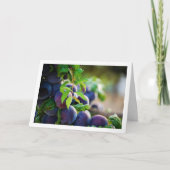 Paarse pruimen op boom kaart (Voorkant)