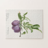 Paarse pruimen (Prunus Domestica) Legpuzzel (Horizontaal)