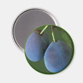 Paarse pruimen Waterverf - magneet (Voorkant / Achterkant)