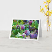 Paarse pruimenboomportret kaart (Gele Bloem)