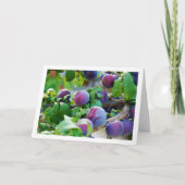 Paarse pruimenboomportret kaart (Voorkant)