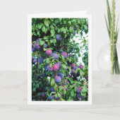 Paarse pruimenboomportret kaart (Voorkant)