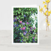 Paarse pruimenboomportret kaart (Gele Bloem)