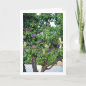 Paarse pruimenboomportret kaart (Voorkant)