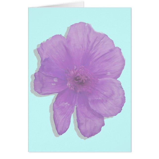 Paarse Punch/PopArt Flower (Voorkant)