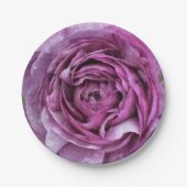 Paarse Ranunculus Papieren Bordje (Voorkant)
