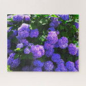 Paarse realistische hortensia puzzel (Horizontaal)